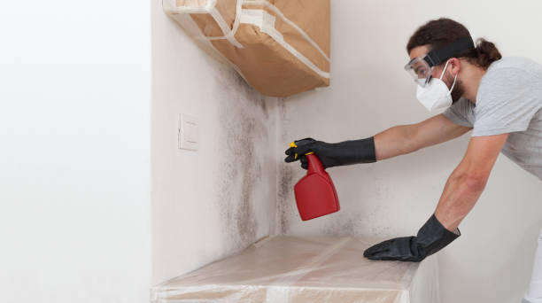 Attic Mold Remediation treatment on roof deck in Clifton